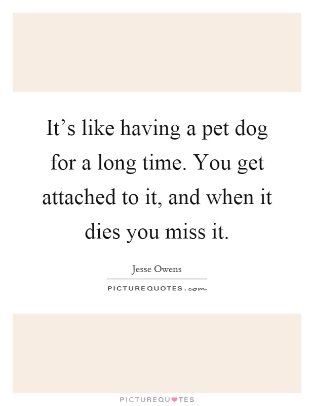 It's like having a pet dog for a long time. You get attached to it, and when it dies you miss it Picture Quote #1