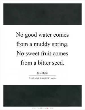 No good water comes from a muddy spring. No sweet fruit comes from a bitter seed Picture Quote #1