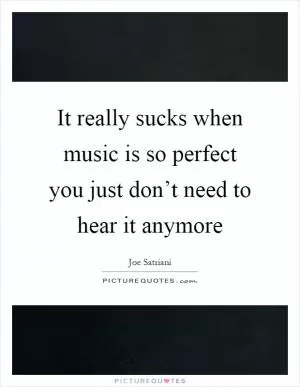 It really sucks when music is so perfect you just don’t need to hear it anymore Picture Quote #1