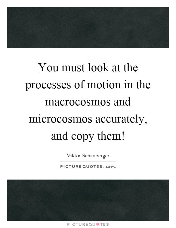 You must look at the processes of motion in the macrocosmos and microcosmos accurately, and copy them! Picture Quote #1