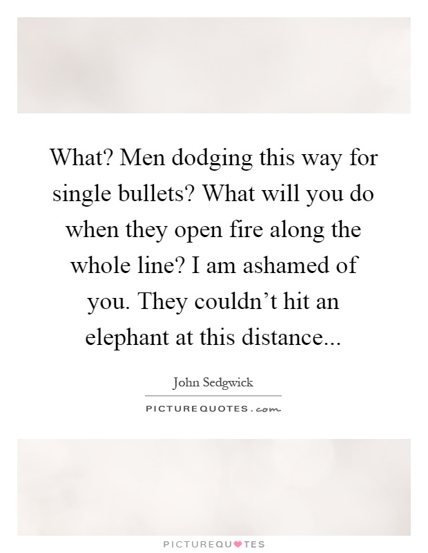 What? Men dodging this way for single bullets? What will you do when they open fire along the whole line? I am ashamed of you. They couldn't hit an elephant at this distance Picture Quote #1