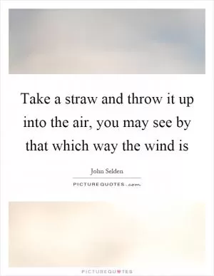 Take a straw and throw it up into the air, you may see by that which way the wind is Picture Quote #1