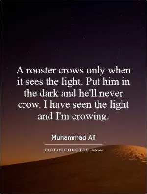 A rooster crows only when it sees the light. Put him in the dark and he'll never crow. I have seen the light and I'm crowing Picture Quote #1