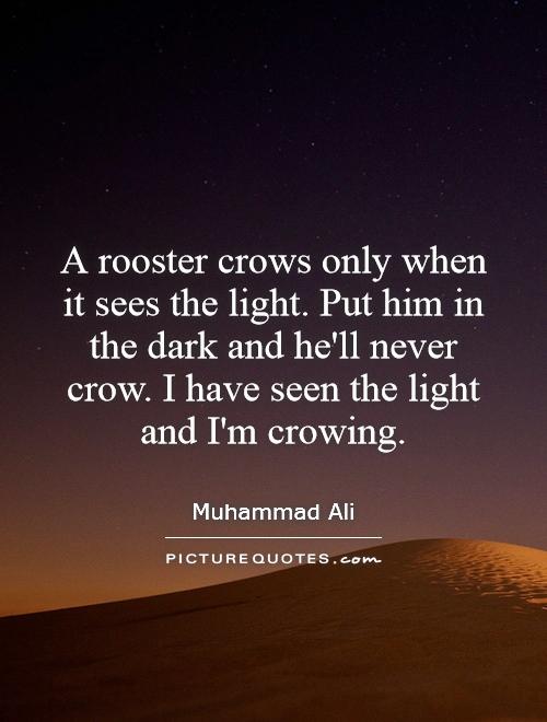 A rooster crows only when it sees the light. Put him in the dark and he'll never crow. I have seen the light and I'm crowing Picture Quote #1