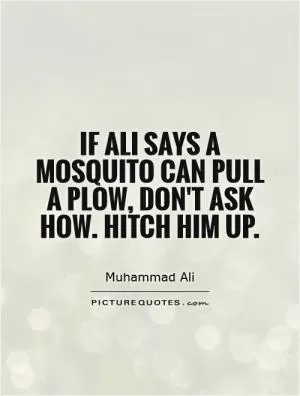 If ali says a mosquito can pull a plow, don't ask how. Hitch him up Picture Quote #1