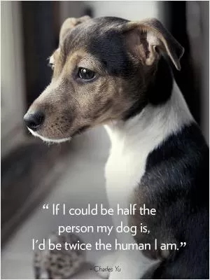 If I could be half the person my dog is, I'd be twice the human I am Picture Quote #1