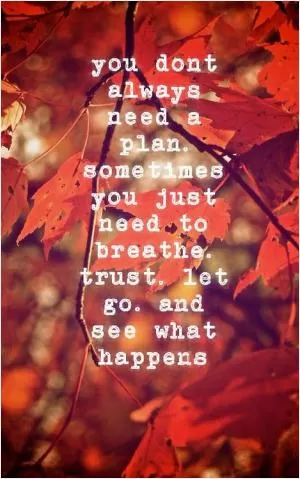 You don't always need a plan. Sometimes you just need to breathe, trust, let go, and see what happens Picture Quote #1