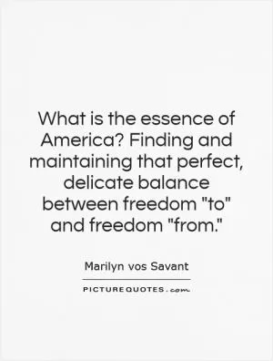 What is the essence of America? Finding and maintaining that perfect, delicate balance between freedom 