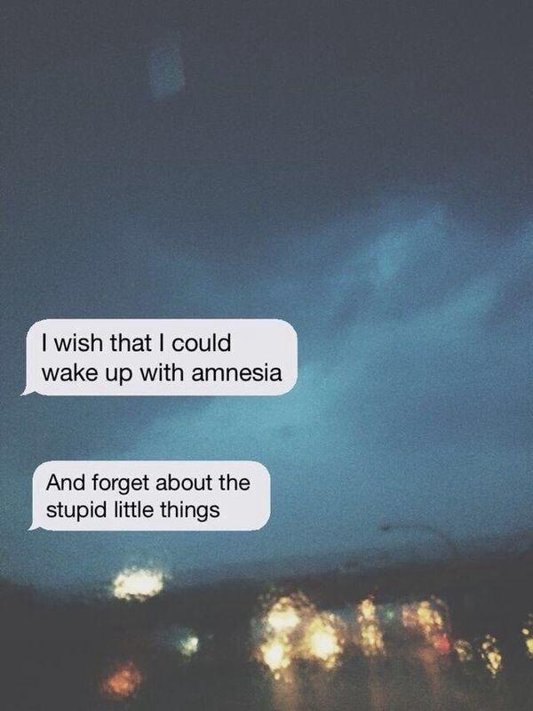 I wish that I could wake up with amnesia and forget about the stupid little things Picture Quote #1