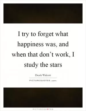 I try to forget what happiness was, and when that don’t work, I study the stars Picture Quote #1