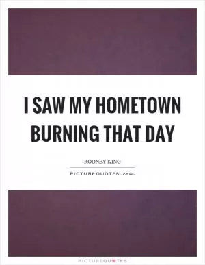 I saw my hometown burning that day Picture Quote #1
