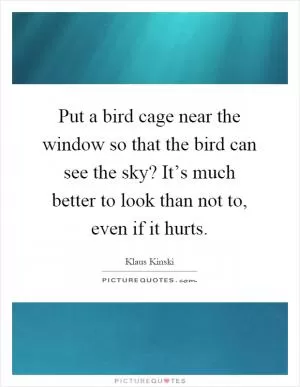 Put a bird cage near the window so that the bird can see the sky? It’s much better to look than not to, even if it hurts Picture Quote #1