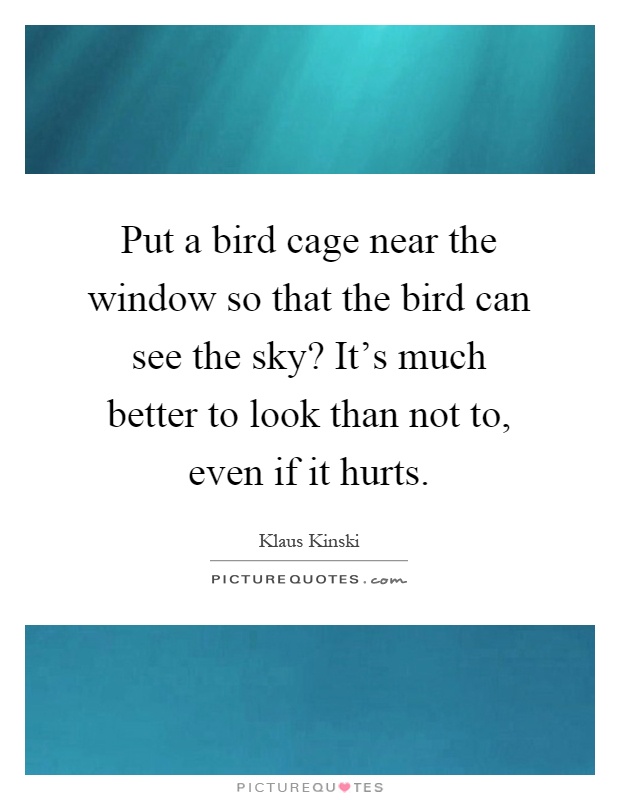 Put a bird cage near the window so that the bird can see the sky? It's much better to look than not to, even if it hurts Picture Quote #1