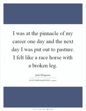 I was at the pinnacle of my career one day and the next day I was put out to pasture. I felt like a race horse with a broken leg Picture Quote #1