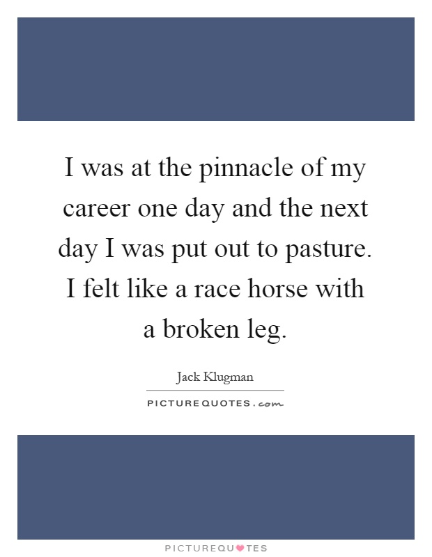 I was at the pinnacle of my career one day and the next day I was put out to pasture. I felt like a race horse with a broken leg Picture Quote #1