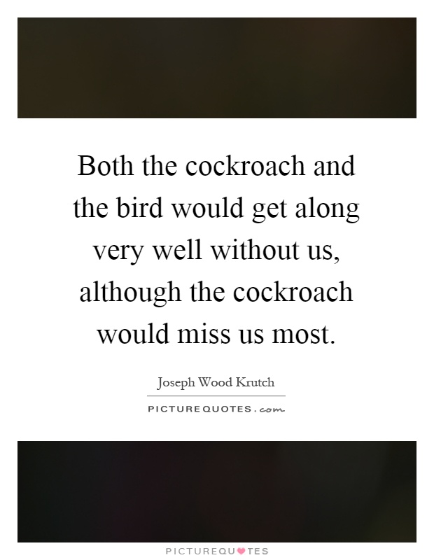 Both the cockroach and the bird would get along very well without us, although the cockroach would miss us most Picture Quote #1