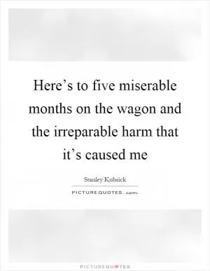 Here’s to five miserable months on the wagon and the irreparable harm that it’s caused me Picture Quote #1