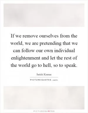 If we remove ourselves from the world, we are pretending that we can follow our own individual enlightenment and let the rest of the world go to hell, so to speak Picture Quote #1