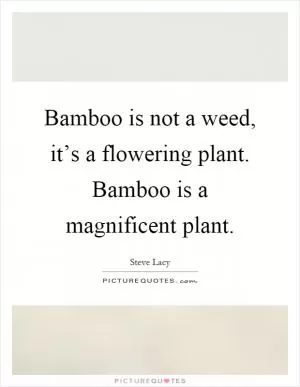 Bamboo is not a weed, it’s a flowering plant. Bamboo is a magnificent plant Picture Quote #1
