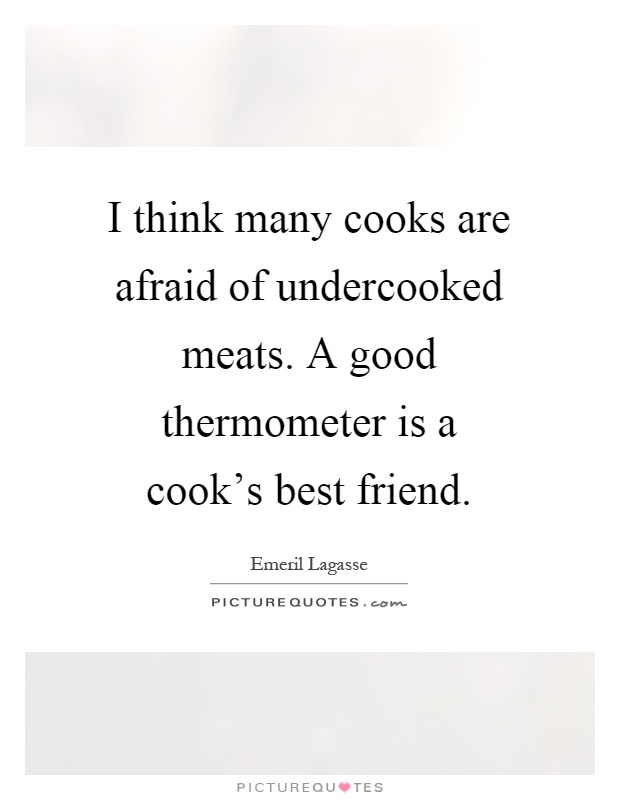 I think many cooks are afraid of undercooked meats. A good thermometer is a cook's best friend Picture Quote #1