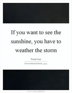 If you want to see the sunshine, you have to weather the storm Picture Quote #1