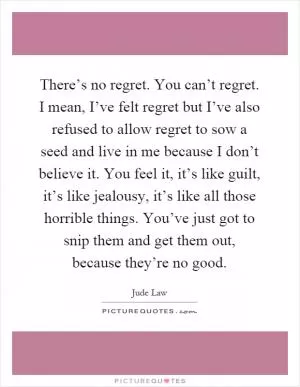 There’s no regret. You can’t regret. I mean, I’ve felt regret but I’ve also refused to allow regret to sow a seed and live in me because I don’t believe it. You feel it, it’s like guilt, it’s like jealousy, it’s like all those horrible things. You’ve just got to snip them and get them out, because they’re no good Picture Quote #1