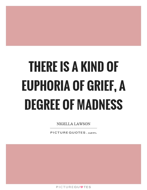 There is a kind of euphoria of grief, a degree of madness Picture Quote #1