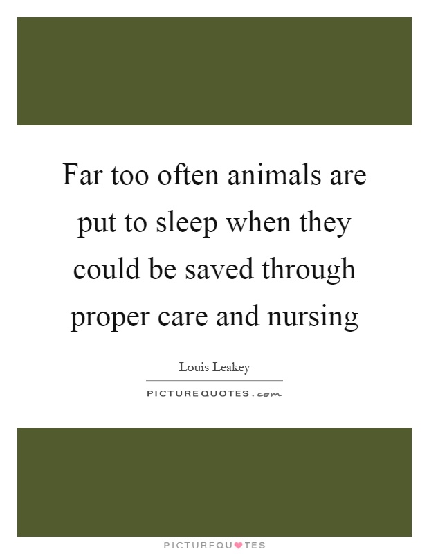 Far too often animals are put to sleep when they could be saved through proper care and nursing Picture Quote #1