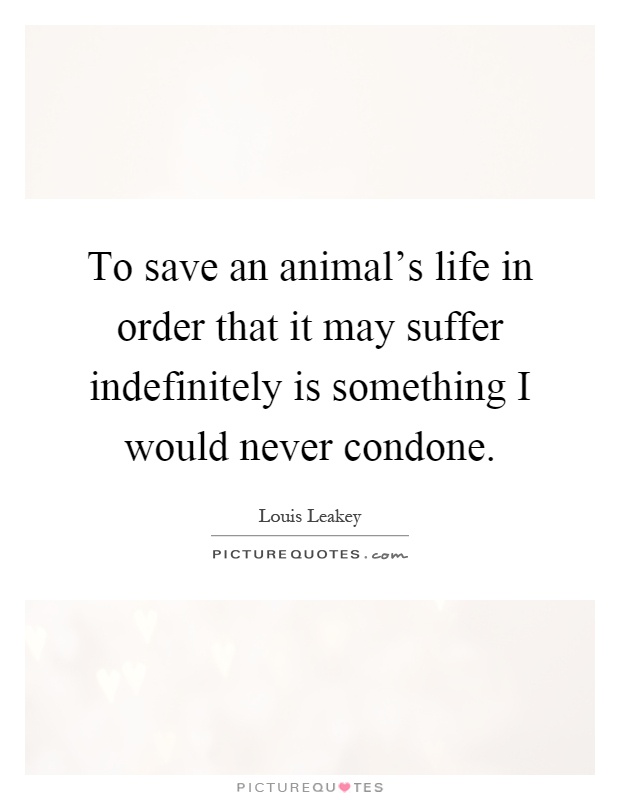 To save an animal's life in order that it may suffer indefinitely is something I would never condone Picture Quote #1