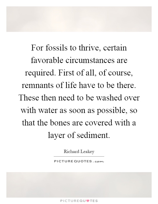 For fossils to thrive, certain favorable circumstances are required. First of all, of course, remnants of life have to be there. These then need to be washed over with water as soon as possible, so that the bones are covered with a layer of sediment Picture Quote #1