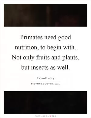 Primates need good nutrition, to begin with. Not only fruits and plants, but insects as well Picture Quote #1