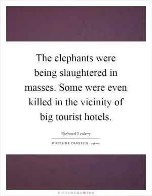The elephants were being slaughtered in masses. Some were even killed in the vicinity of big tourist hotels Picture Quote #1