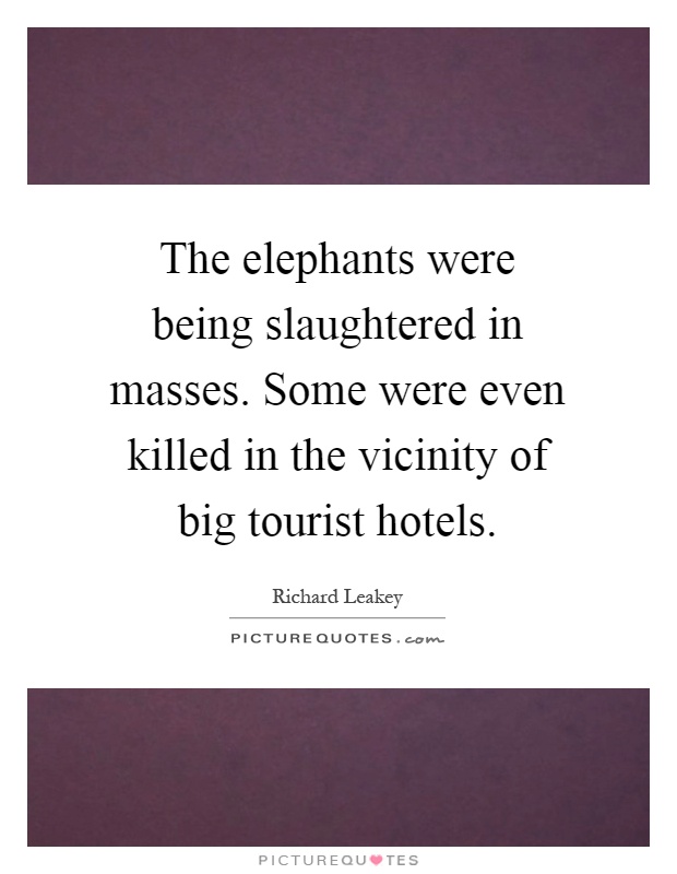 The elephants were being slaughtered in masses. Some were even killed in the vicinity of big tourist hotels Picture Quote #1