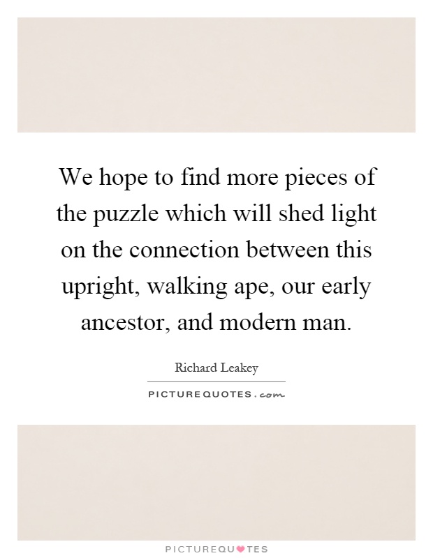 We hope to find more pieces of the puzzle which will shed light on the connection between this upright, walking ape, our early ancestor, and modern man Picture Quote #1