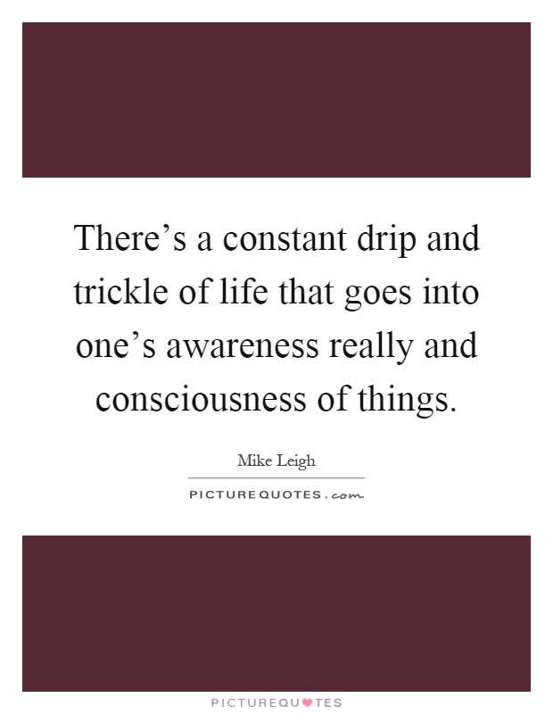 There's a constant drip and trickle of life that goes into one's awareness really and consciousness of things Picture Quote #1