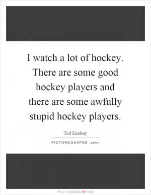 I watch a lot of hockey. There are some good hockey players and there are some awfully stupid hockey players Picture Quote #1