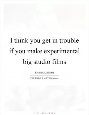 I think you get in trouble if you make experimental big studio films Picture Quote #1