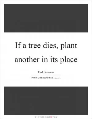 If a tree dies, plant another in its place Picture Quote #1