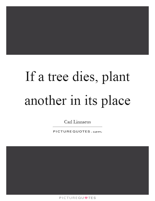If a tree dies, plant another in its place Picture Quote #1