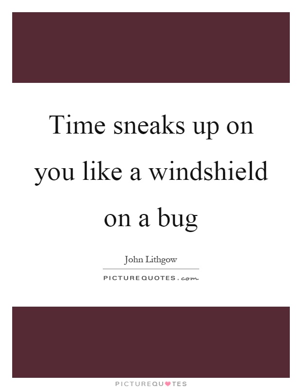Time sneaks up on you like a windshield on a bug Picture Quote #1