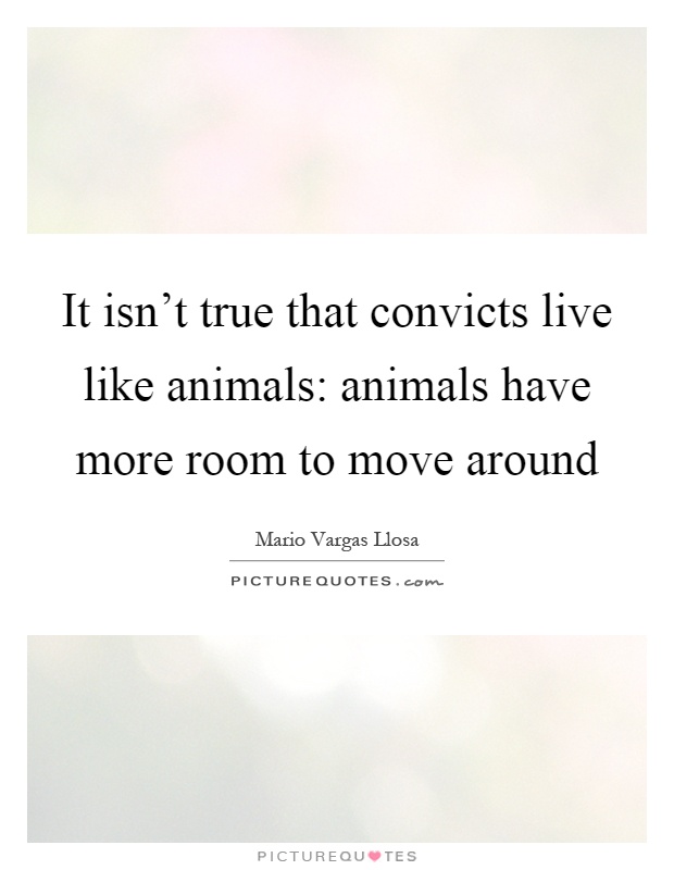 It isn't true that convicts live like animals: animals have more room to move around Picture Quote #1