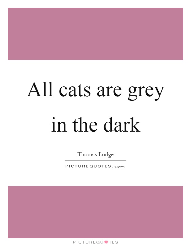 All cats are grey in the dark Picture Quote #1