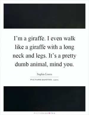 I’m a giraffe. I even walk like a giraffe with a long neck and legs. It’s a pretty dumb animal, mind you Picture Quote #1