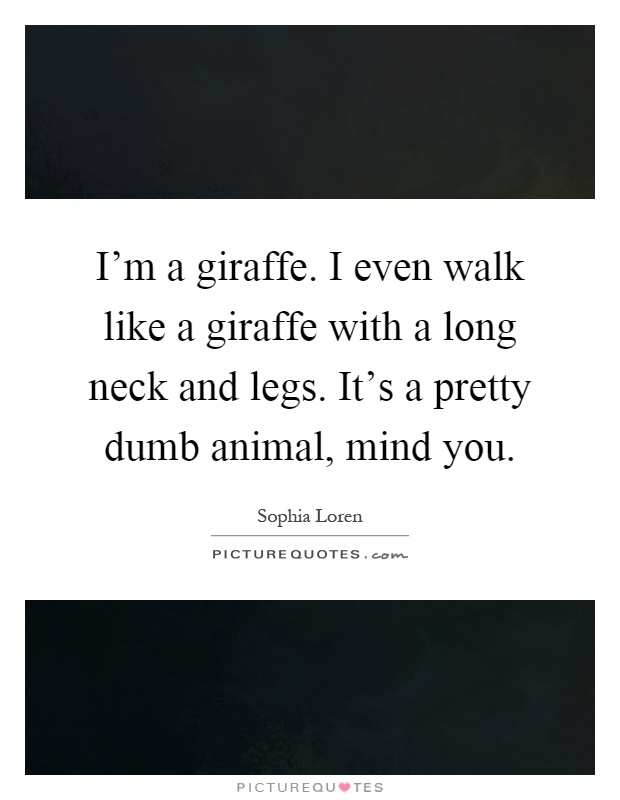 I'm a giraffe. I even walk like a giraffe with a long neck and legs. It's a pretty dumb animal, mind you Picture Quote #1