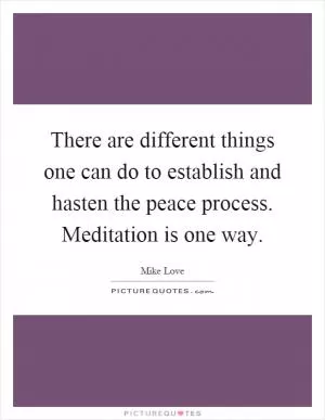 There are different things one can do to establish and hasten the peace process. Meditation is one way Picture Quote #1