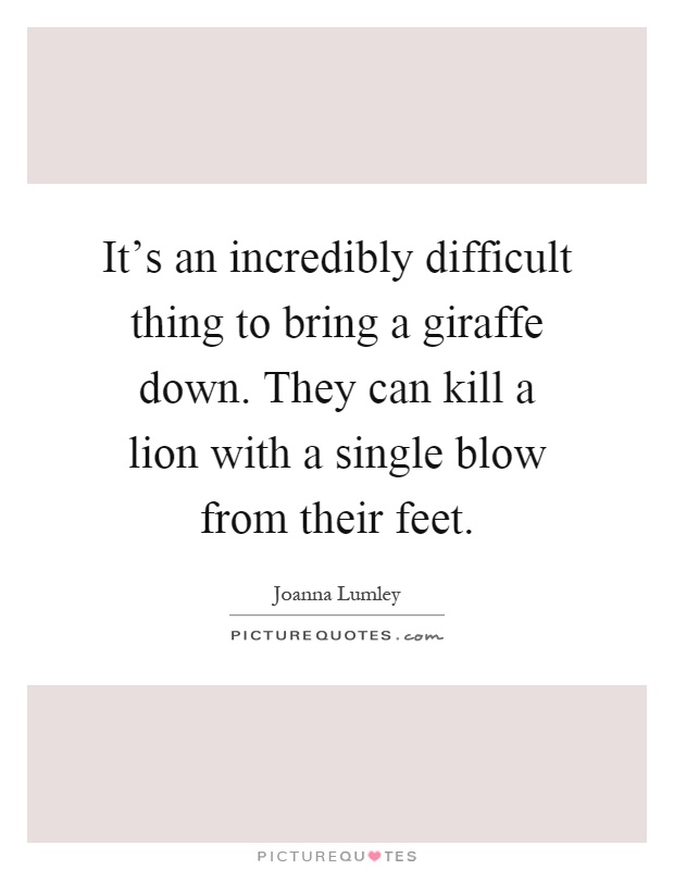 It's an incredibly difficult thing to bring a giraffe down. They can kill a lion with a single blow from their feet Picture Quote #1