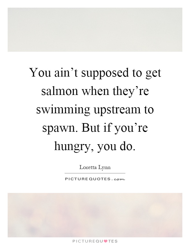 You ain't supposed to get salmon when they're swimming upstream to spawn. But if you're hungry, you do Picture Quote #1