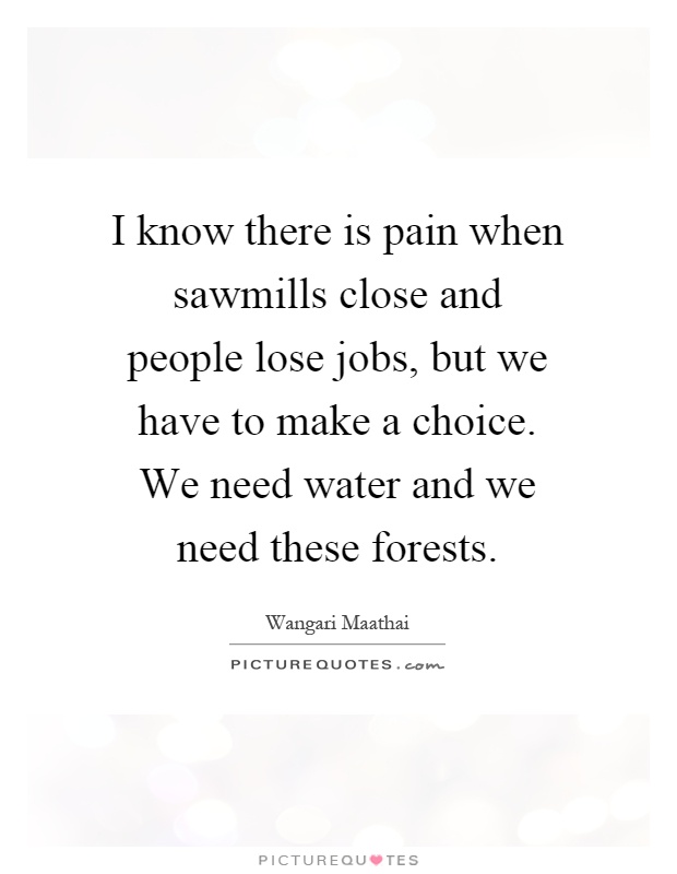 I know there is pain when sawmills close and people lose jobs, but we have to make a choice. We need water and we need these forests Picture Quote #1
