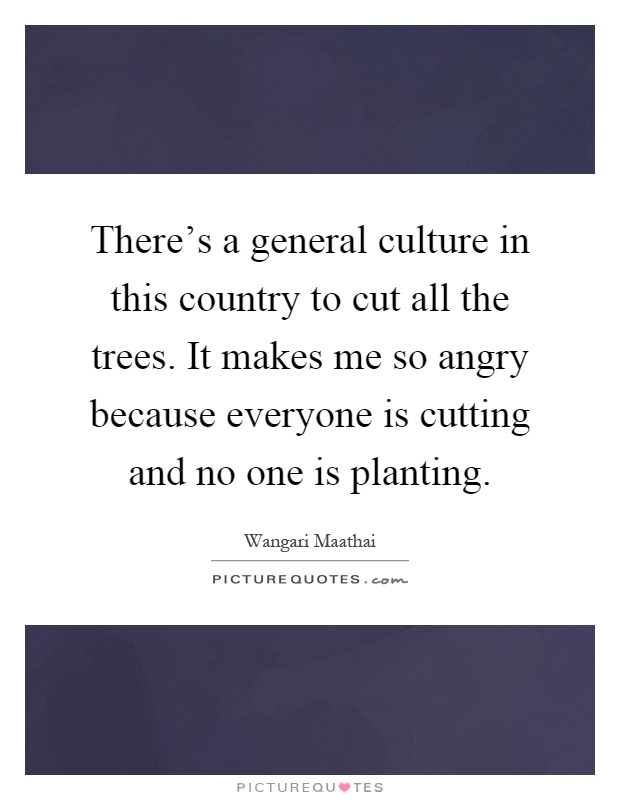 There's a general culture in this country to cut all the trees. It makes me so angry because everyone is cutting and no one is planting Picture Quote #1