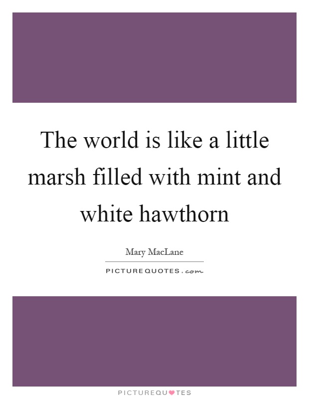 The world is like a little marsh filled with mint and white hawthorn Picture Quote #1